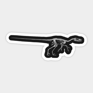 Velociraptor Skeletal Sticker